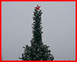 В Якутии установили новогоднюю елку в форме пениса (фото)