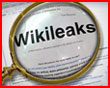  WikiLeaks      ,    