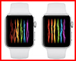 Apple     Apple Watch ()