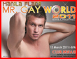          Mr Gay World ()